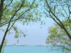 -上海吴淞炮台湾国家湿地公园