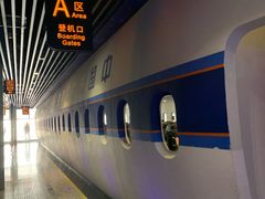 -法兰度航空主题餐厅(东汇城店)