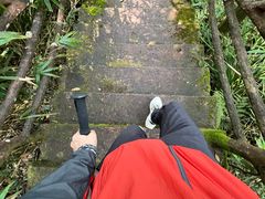 -海南热带雨林国家公园吊罗山景区