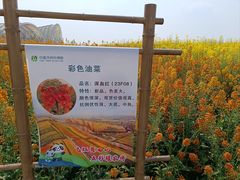 -中国天府农业博览园