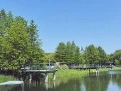 -尚贤河湿地