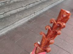 -黑色经典臭豆腐·湖南特产(潇湘文化店)