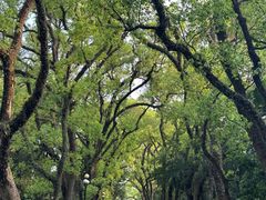 -桂林独秀峰王城景区