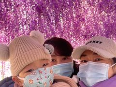 -绿野森林乐园冰雪季