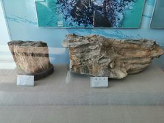 -延庆地质公园博物馆