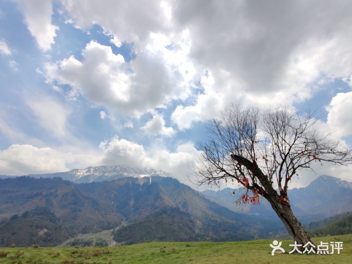 硗碛藏寨·神木垒景区图片