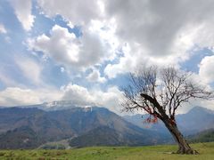 -硗碛藏寨·神木垒景区