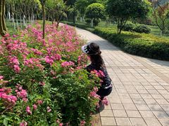 -龙头寺公园