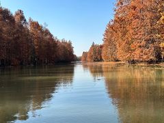 -上海海湾国家森林公园