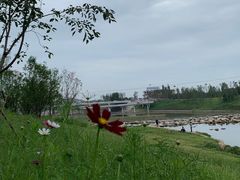 -秦岭风景区