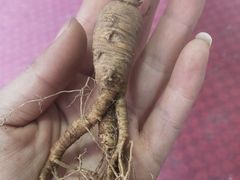 -朴小妹人参鸡汤火锅(长白山万达店)