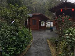 -达蓬山温泉