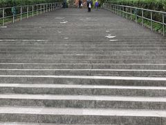 -上海佘山国家森林公园西佘山园