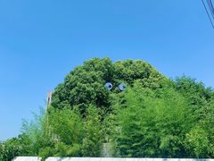 -镇江中国醋文化博物馆