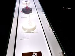 -BLACKSWAN黑天鹅(环球店)