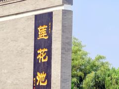-莲花池公园
