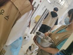 -怪兽屋·羊驼·猫咖·狗咖(俊华广场店)