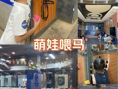 -骑乐马术(广州奥体优托邦中心)