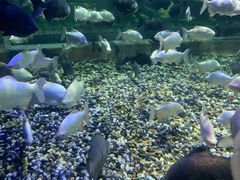 -成都浩海立方海洋公园