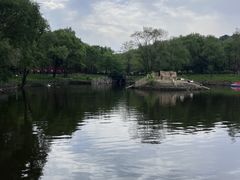 -沈阳森林动物园
