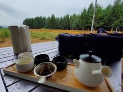 -塞罕坝国家级自然保护区