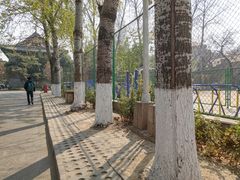 -北京大学第二体育馆