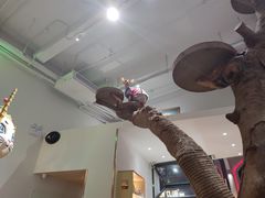 -more than meow吴止猫主题餐厅(承德 中船汇店)