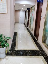 -碧莲盛·不剃发植发