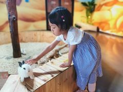 -昆明大悦城未来动物城(螺蛳湾中心店)