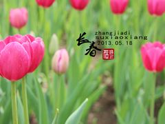 -长春公园(普阳街道)