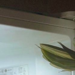 -凡碧诗毛孔收细
