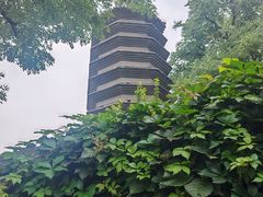 -正阳书局(西四南大街店)