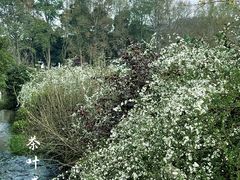 -中国茶叶博物馆(双峰馆区)