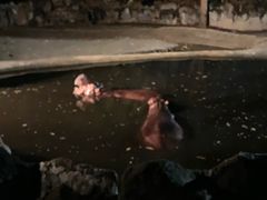 -清迈夜间动物园