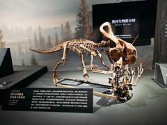 -遇见博物馆(遇见海洋沉浸式奇幻光影展)