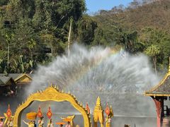 -西双版纳原始森林公园
