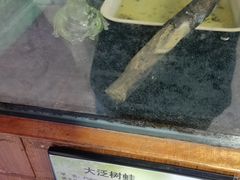 -上海大自然野生昆虫馆(东方明珠·爬宠昆虫探索中心)