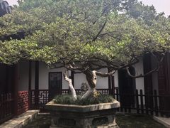 -水绘园