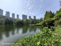 -重庆彩云湖湿地公园
