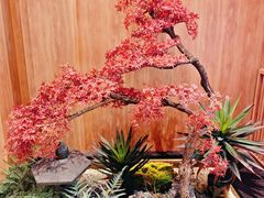 -汉拿山(金源店)