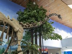 -延庆地质公园博物馆