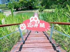 -燕晗山郊野公园