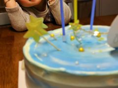 -维尔纳斯·生日蛋糕·动物奶油冰淇淋蛋糕(六里桥店)