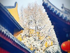 -龙华寺