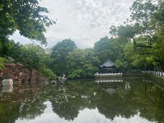 -菱湖风景区