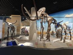 -国家自然博物馆