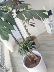 -HEYAN荷妍专业脱毛连锁机构
