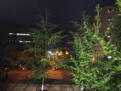 -四川农业大学(雅安校区)