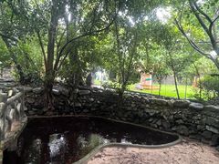 -瑞丽独树成林风景区