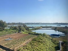 -硇洲岛旅游区